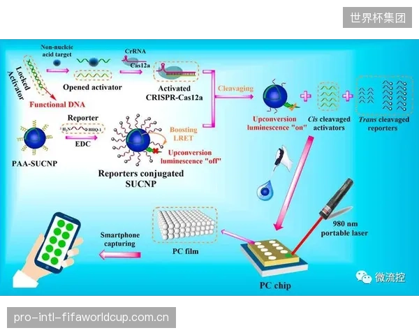 号码布的终极形态：集成无源RFID、柔性显示与生物传感器，成为选手的个人信息中心